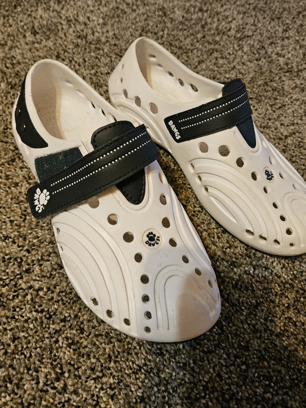 Dawg's Shoes